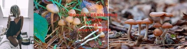 гашишное масло Пересвет