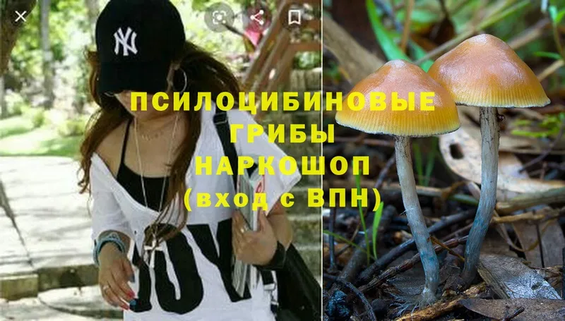 Галлюциногенные грибы MAGIC MUSHROOMS Стерлитамак